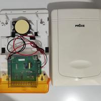 Sirena filare da esterno