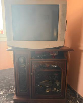 Mobile tv
