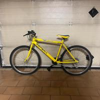 Bicicletta da uomo
