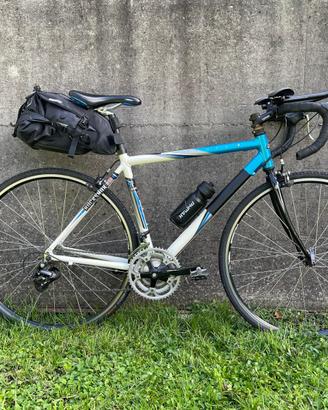 Bici da viaggio