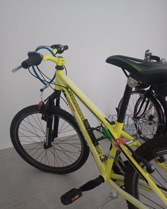 bicicletta per ragazzo