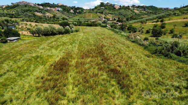 Terreno agricolo pianeggiante di 2 ettari