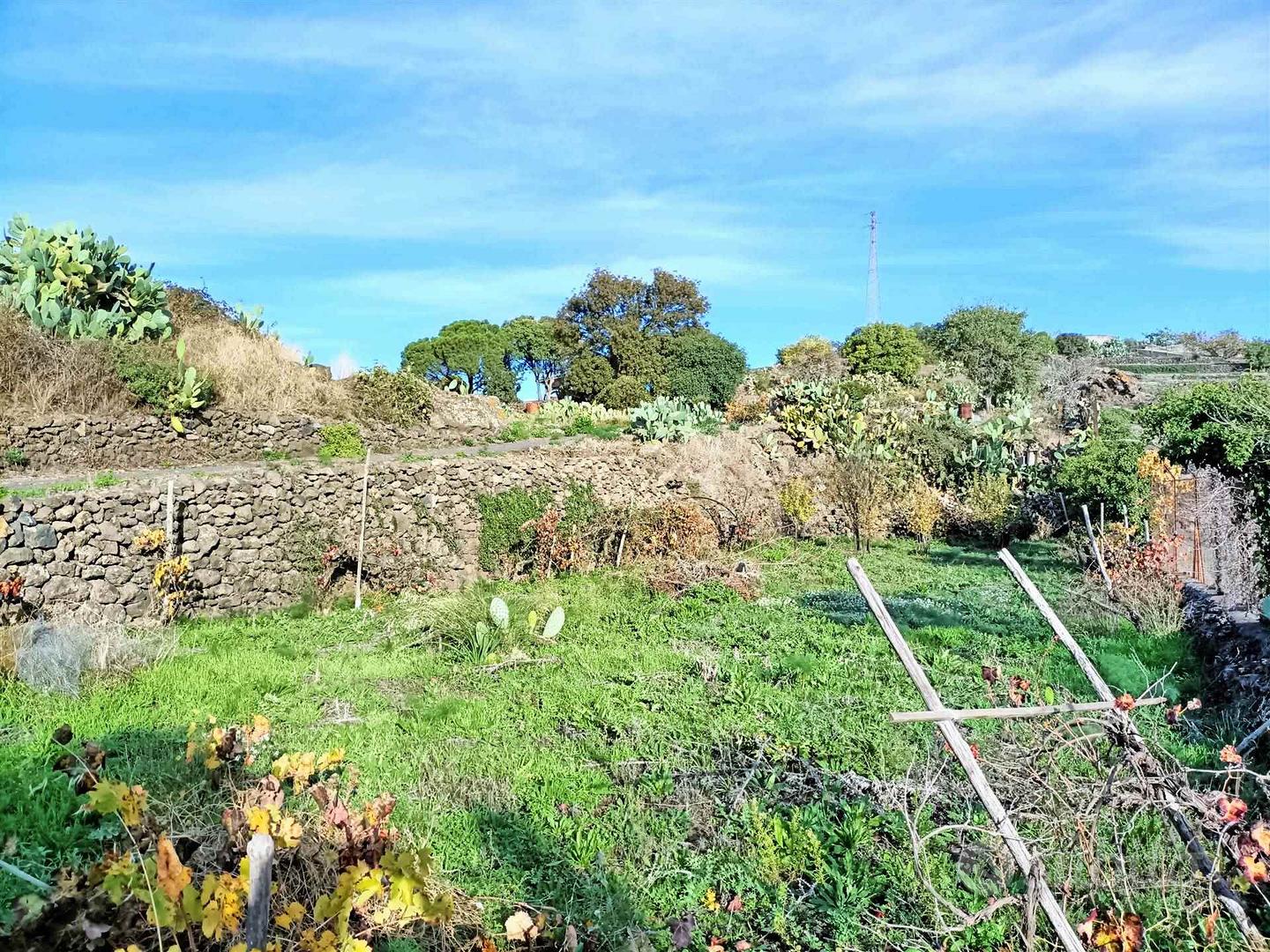 Rif.GL362- terreno agricolo belpasso - Vista 3