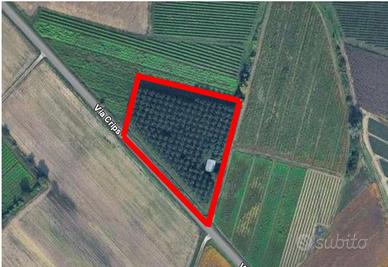 Terreno agricolo
