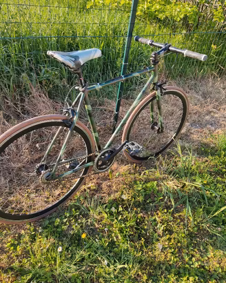bici mimetica 