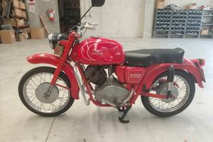 Guzzi Lodola
