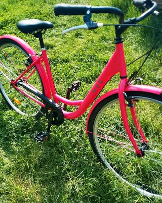 bicicletta weg 