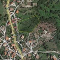 Terreno Edificabile/Agricolo in paese