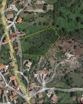 Terreno Edificabile/Agricolo in paese