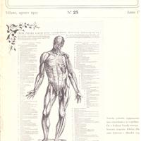 La rinascita dell'anatomia