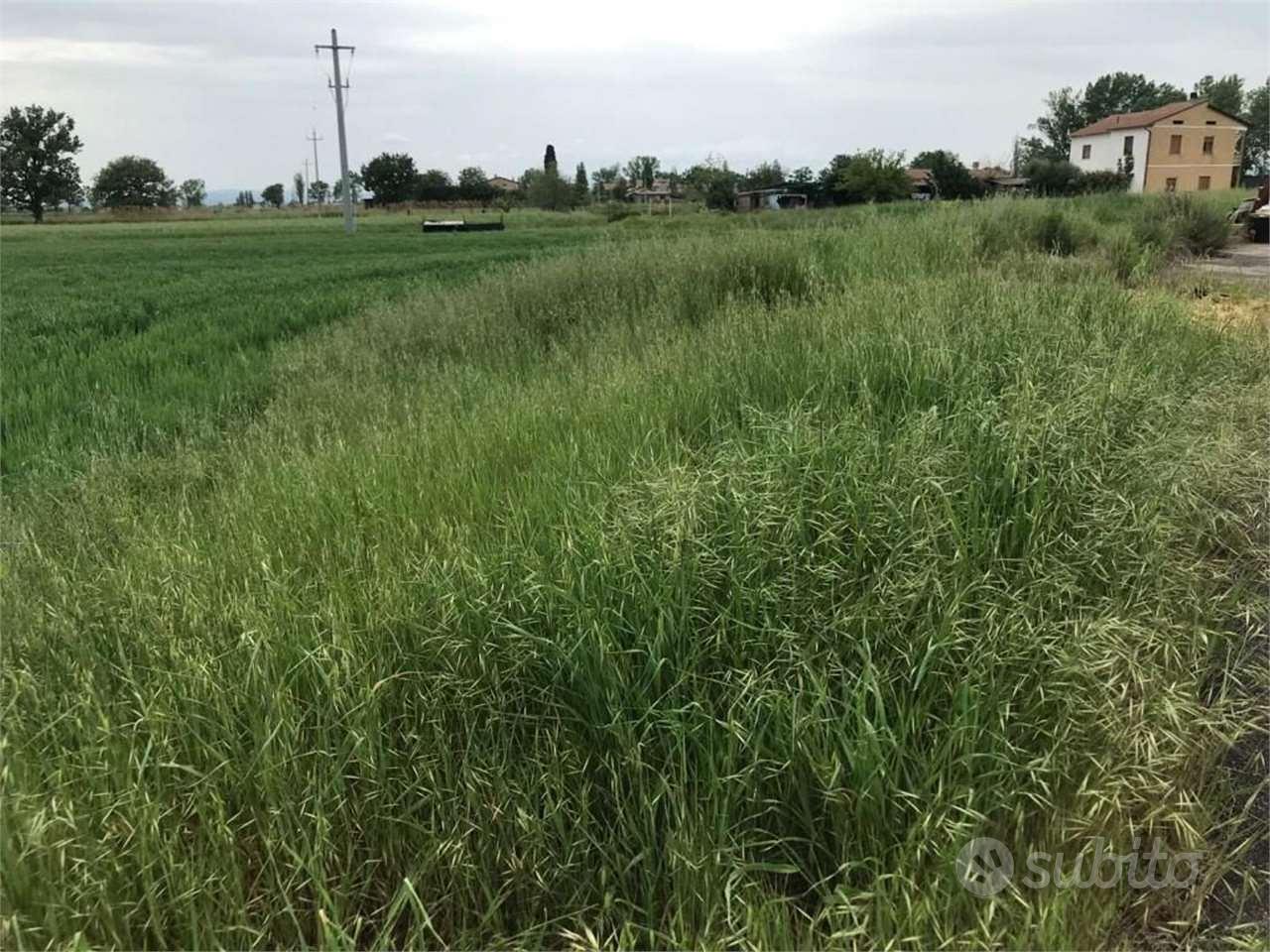 Terreno Edificabile a Assisi - Altro