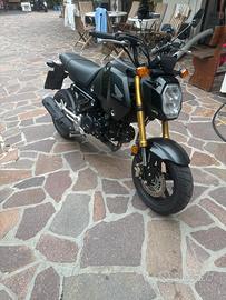 Honda MSX 125 2022 GROM