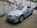 mercedes-benz-slk-200-kompressor-cat-163cv-book-se