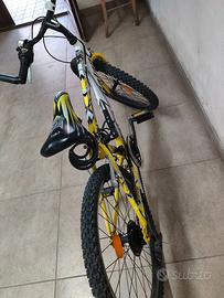 Bicicletta 24
