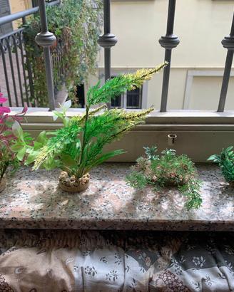 Accessori acquario