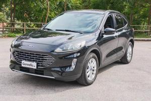Ford Kuga 1.5 EcoBlue 120 CV 2WD Titanium Business