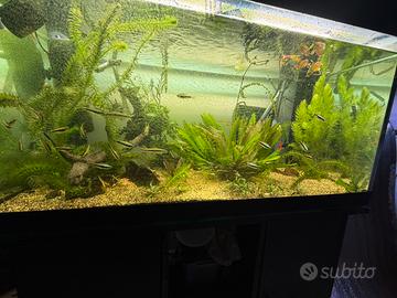 Acquario 250 litri con mobile