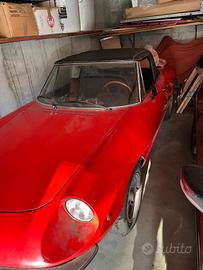 Spider alfa romeo