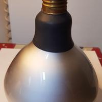 Due lampade PAR 500W per video e foto