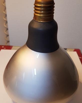 Due lampade PAR 500W per video e foto