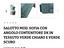 Immagine 6