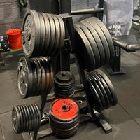 (VENDUTI) Dischi 28/25mm Domyos, Bilancieri