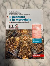 Il pensiero e la meraviglia