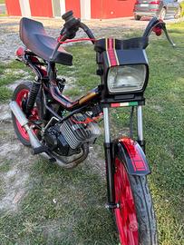 Mzv cobra Minarelli p6 60 cc
