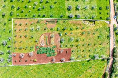 Progetto villa con piscina Salento zona Pescoluse