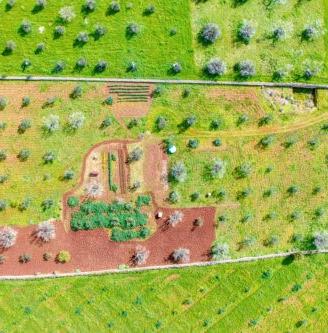 Progetto villa con piscina Salento zona Pescoluse