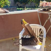 accessori addestramento e giochi cane