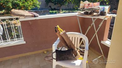 accessori addestramento e giochi cane