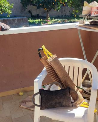 accessori addestramento e giochi cane