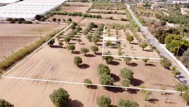 Terreno Edificabile 5.300 mq