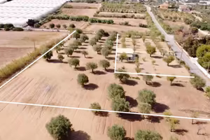 Terreno Edificabile 5.300 mq