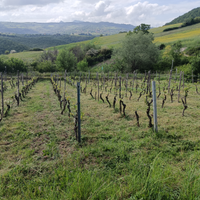 Terreno dificabile con prefabbricato in legno