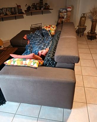 cucina+camera da letto+divano letto 