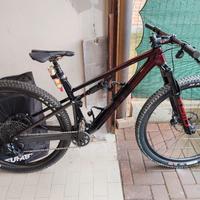 MTB bmc fourstroke LT 2025