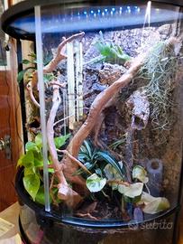 Terrario