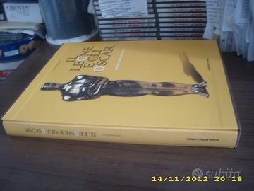 Il Leone e gli Oscar