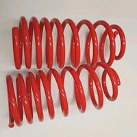 Molle Assetto Punto GT