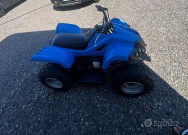 Quad dindli 502
