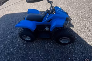 Quad dindli 502
