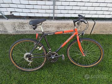 Bicicletta