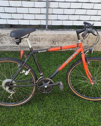 Bicicletta