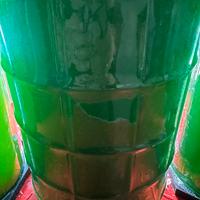 Acquario Marino fitoplancton