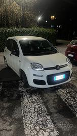 Panda ibrida 2021 (69cv)