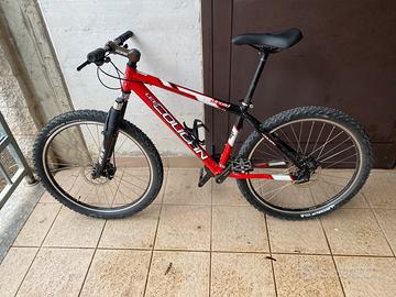 Mtb lee cougan