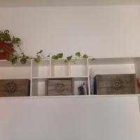 mensola/cassettone da parete