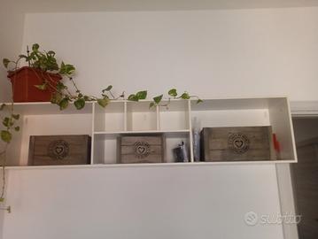 mensola/cassettone da parete